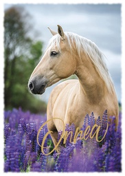 [4750187] 1-os eläinkortti hevonen