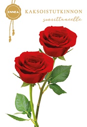 [245309] 2-os Kaksoistutkinto