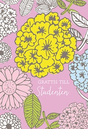 [245316] 2-os Ylioppilas R Merja Palin