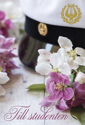 [24P4102] 2-os Ylioppilas R foliolyyra