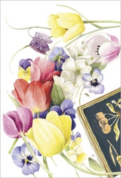 [49P00258] 2-os kortti Marjolein Bastin