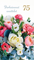 [17P75000] 2-os vuosikortti 70v