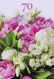 [1770094] 2-os vuosikortti 70v