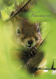 [2725565] 1-os kortti kevät