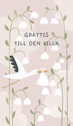 [2281010] 2-os vauvakortti R tyttö Bedaprint