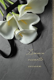 [1905601] 2-os osanotto