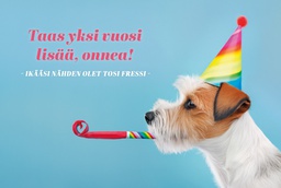 [19P10201] 2-os syntymäpäivä