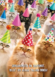 [3910160] 1-os hupikortti Avanti