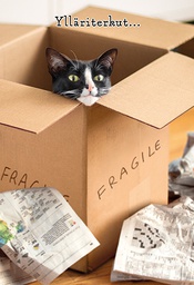 [2970592] 2-os hupikortti Avanti