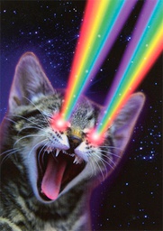 [31878] 1-os hupikortti Cosmic Pets