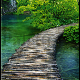 [31970] 1-os Aquarupella Square 13,5 x 13,5