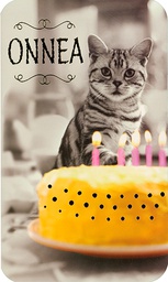 [35124] 2-os rahakuori