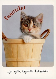 [36032] 1-os eläinkortti kissa