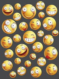 [318325] Juliste 60x80cm Smiley